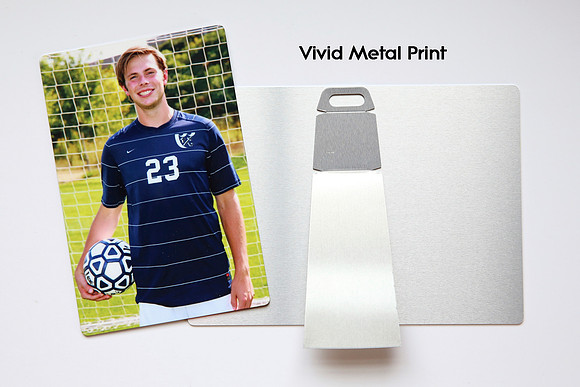 Vivid Metal Print
