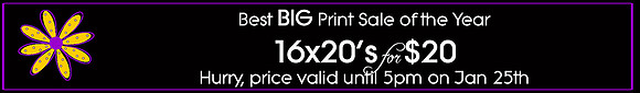 Big PRint SaleBanner